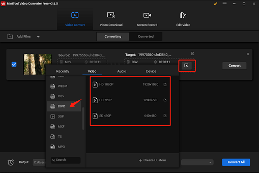 choose DivX as the output format