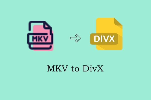 Solved! Top 5 Converters for Converting MKV to DivX