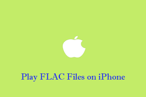 How to Play FLAC Files on iPhone - 2 Efficient Methods