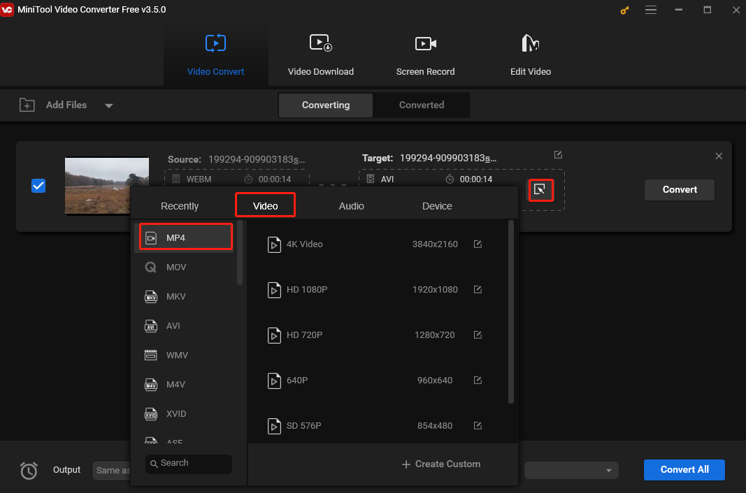 choose MP4 as the output format