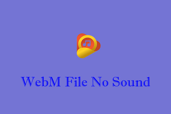 How to Fix WebM File No Sound Issue Easily and Quickly