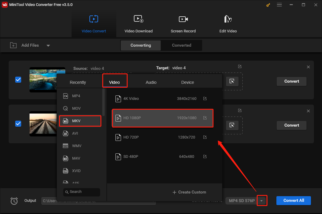 Choose the Output Video Format