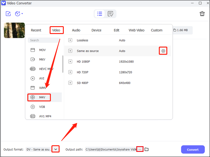 choose an output format and destination