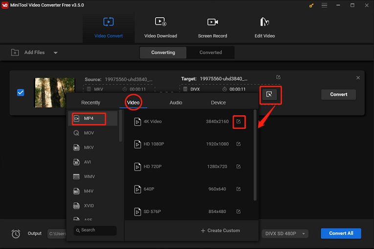 choose output video format