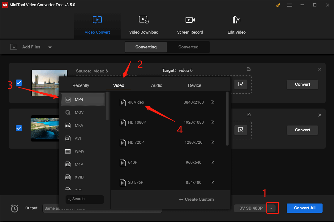 Choose the Output Format