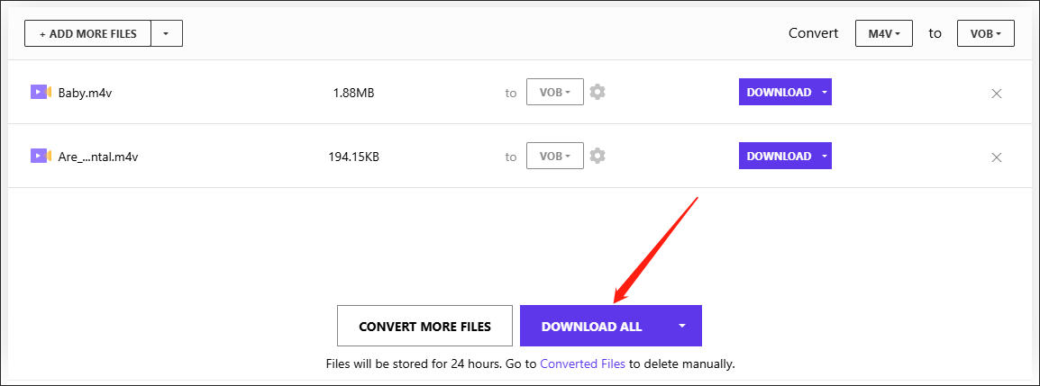 Download Your Converted Files