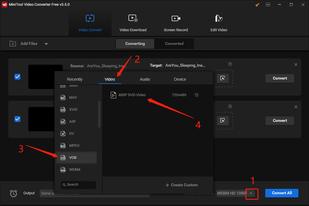 Choose the Output Format