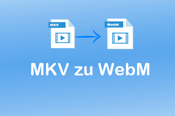 6 gute Methoden zur Konvertierung von MKV in WebM [PC/Online]