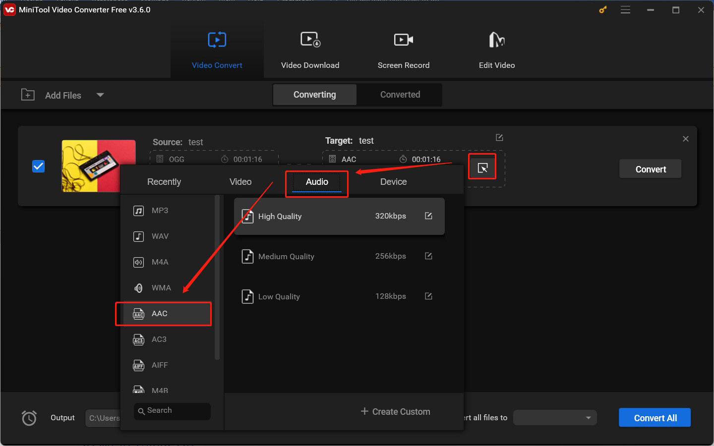 choose AAC as the output format