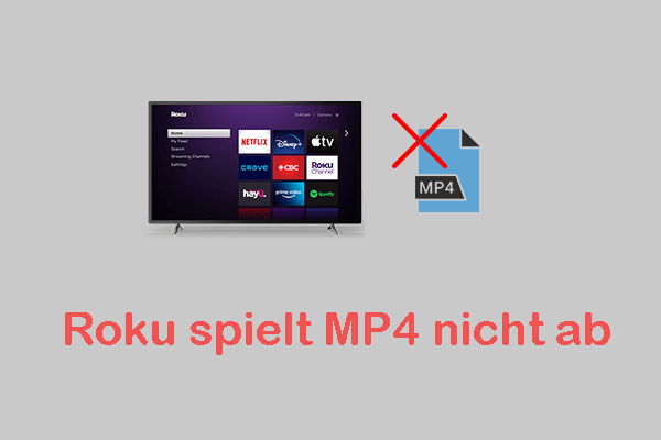 9 Lösungen für das Problem „Roku spielt MP4 nicht ab“