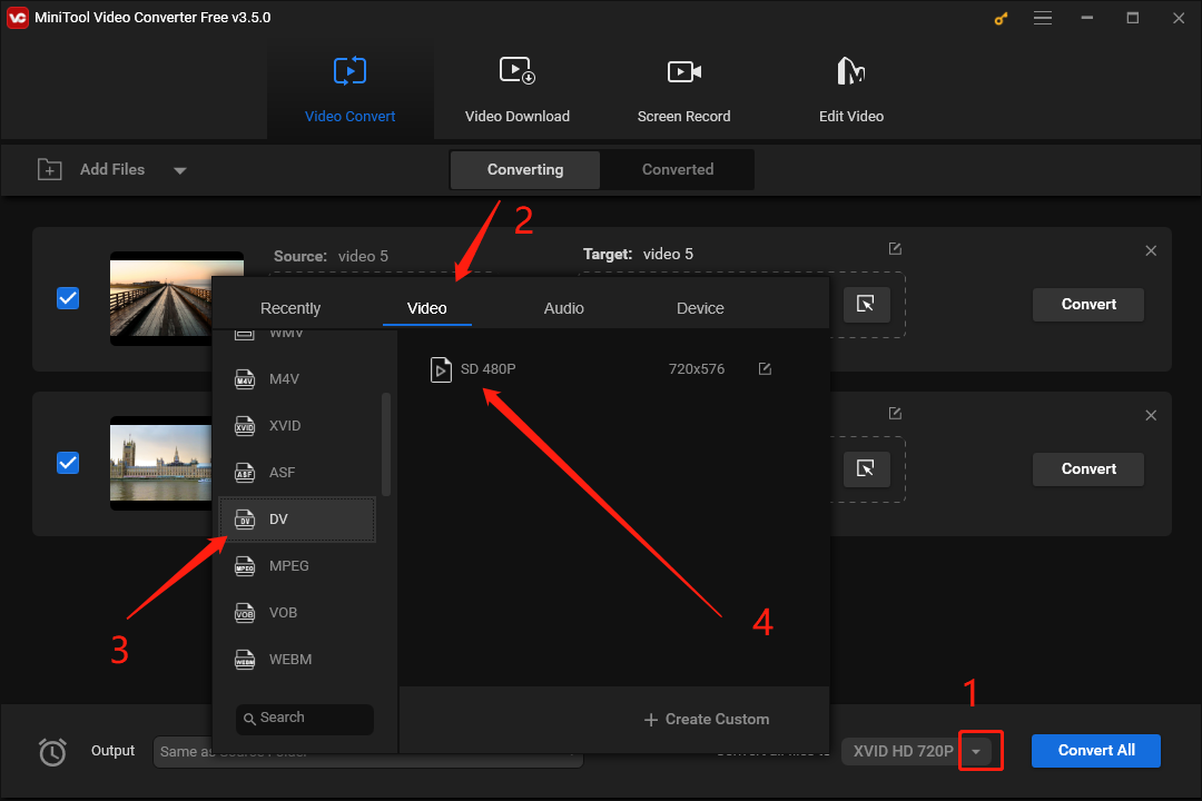 Choose the Output Format