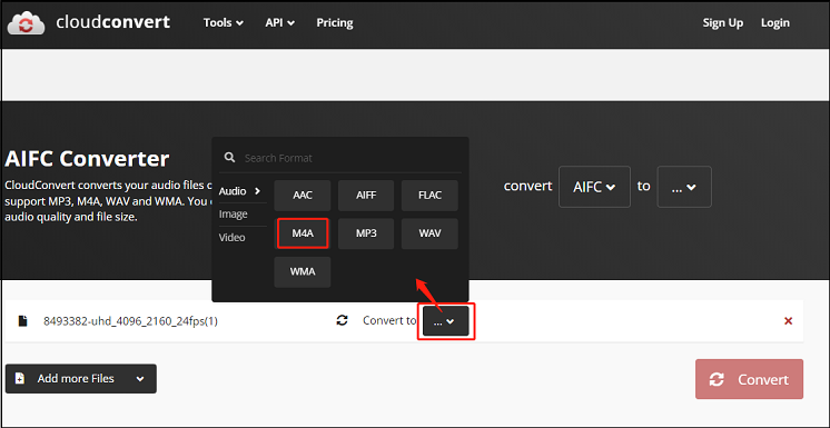 choose M4A as the output format