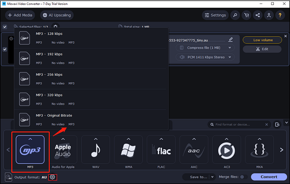 choose MP3 as the output format