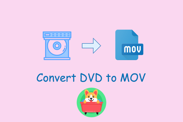 Specific Guide on Convert DVD to MOV Easily