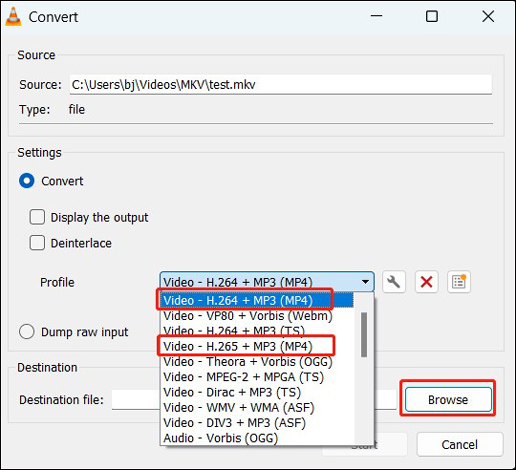 choose MP4 as the output format