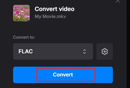 click the Convert button