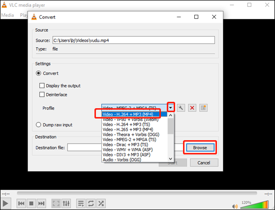 select MP4 as the output format