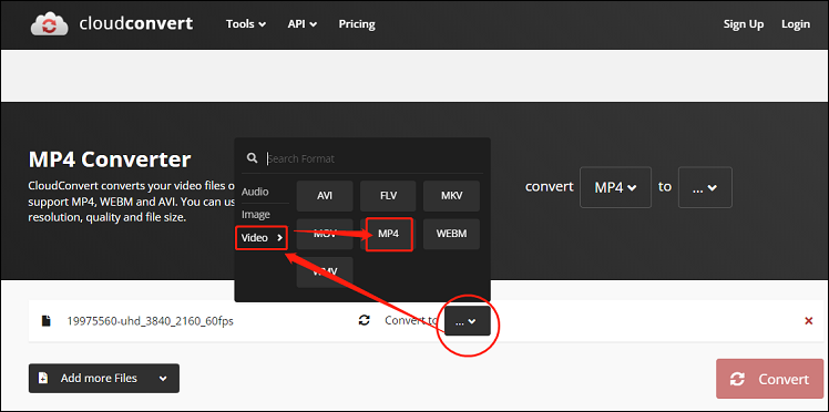 choose MP4 as the output format