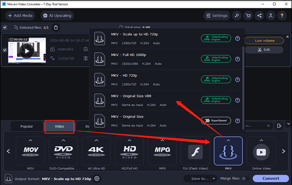 choose the MKV format