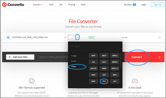 Choose FLV for format conversion in Convertio