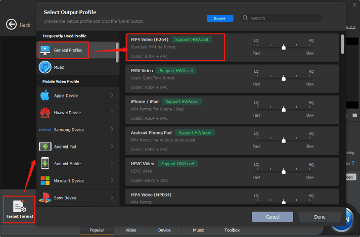 Select MP4 Video (H264) as the output format for conversion in Winxvideo AI