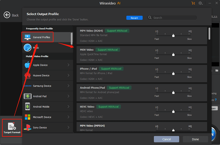 Choose a format with an H.264 encoder as the output format for conversion in Winxvideo AI