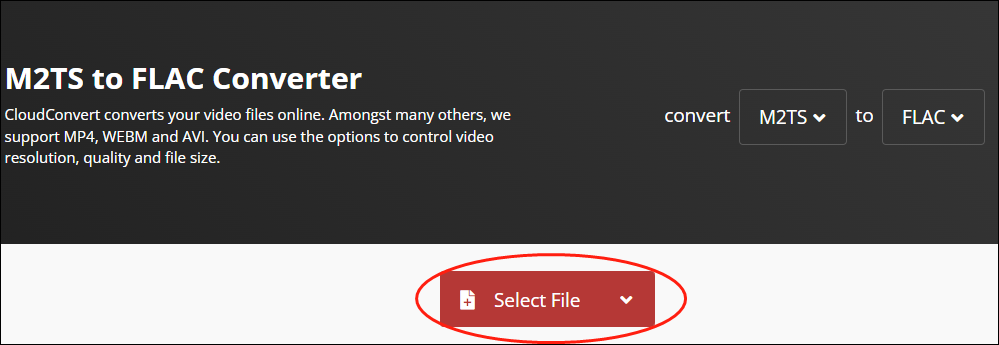 Click on Select File to import your M2TS files