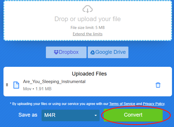 Click on the Convert button to begin the conversion