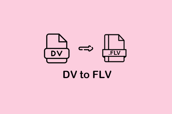 Specific Guide on How to Convert DV to FLV on PC Offline & Online