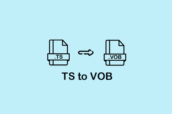 2 Effective Ways to Convert TS to VOB Easily [Offline & Online]