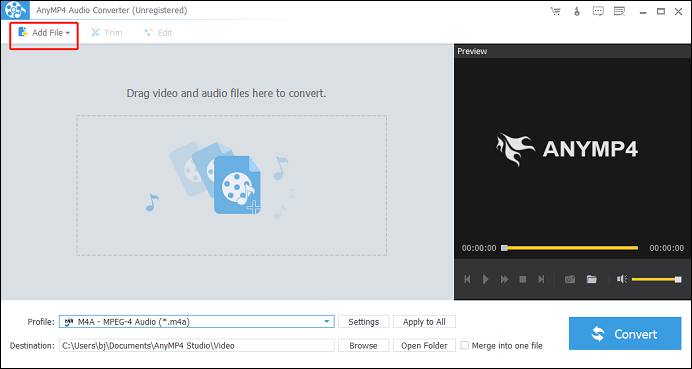 Click the Add File button to import the APE file for format conversion in AnyMP4 Audio Converter