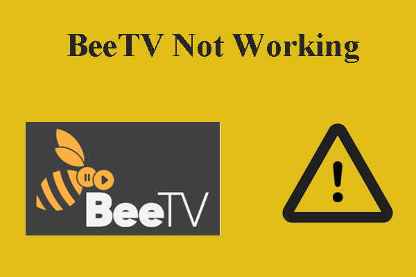 How to Fix BeeTV Not Working Effortlessly – Detailed Steps