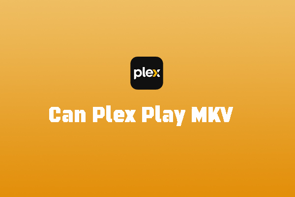 Can Plex Play MKV and Ways to Play MKV on Plex Without Hassle