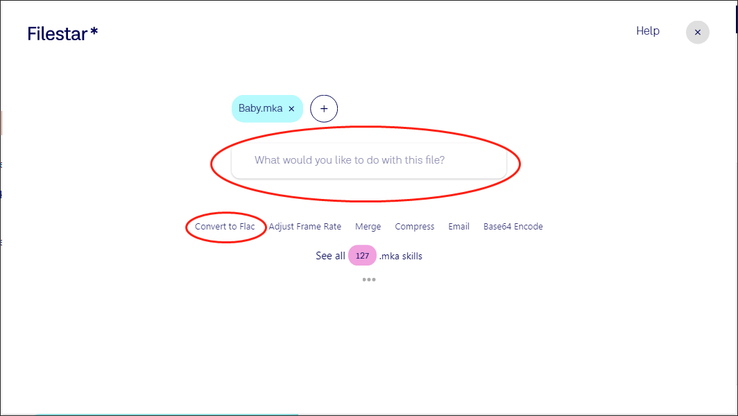 Click on Convert to Flac in Filestar to access the conversion page