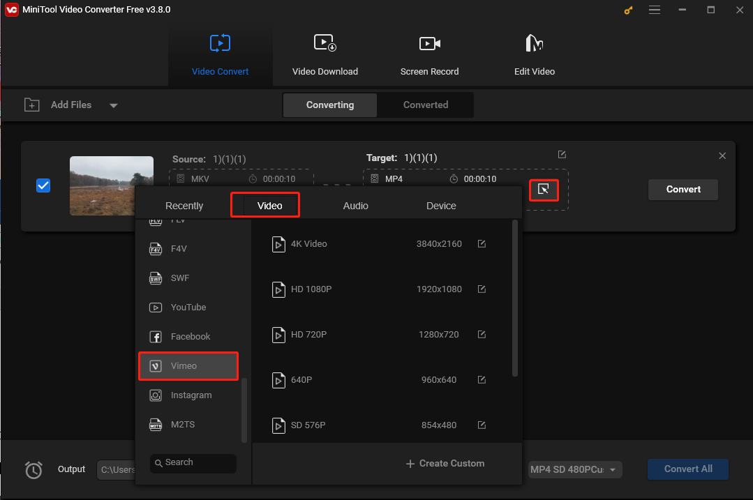 Choose Vimeo as the output format under the Video tab in the output format window