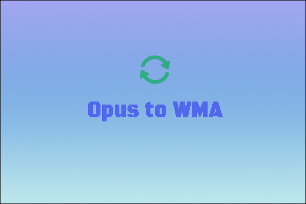 Easy Approaches for Opus to WMA Conversion [Complete Guide]