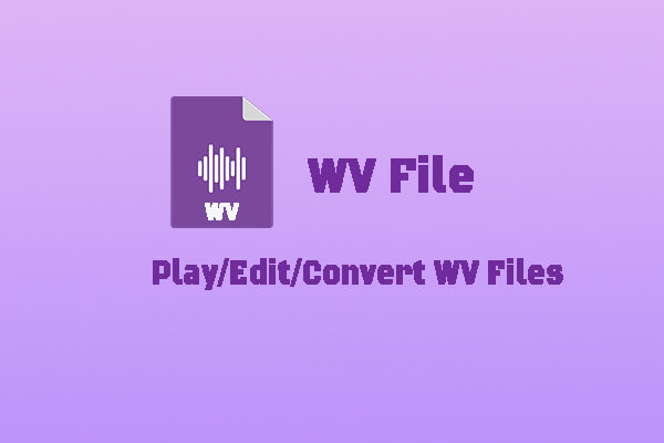 Learn What a WV File Is and Ways to Play/Edit/Convert WV Files