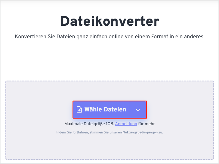 Zum Importieren der AVI-Datei klicken Sie auf „Wähle Dateien“