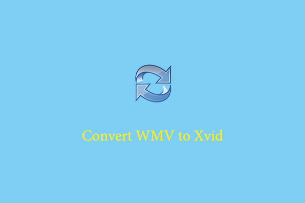 Easy and Free | Convert WMV to Xvid on Desktop and Online