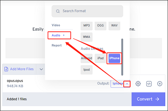 Select iPhone as the output format in FreeConvert for conversion