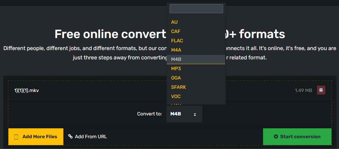 MKV in M4B mit Converter365 konvertieren