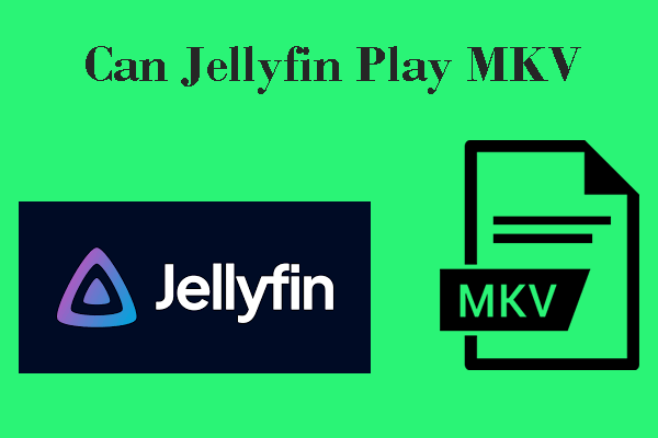 Can Jellyfin Play MKV? Ultimate Answers That You Should Know