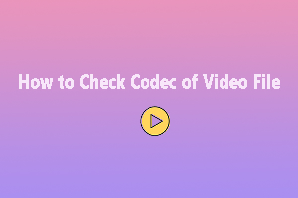 How to Check Codec of Video File with 2 Essential Tools