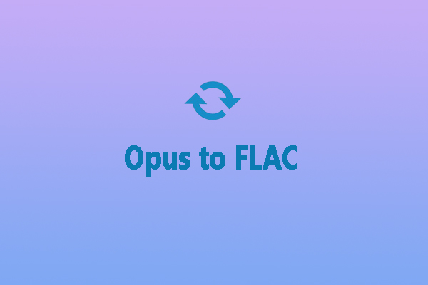 Opus vs FLAC: Main Differences and Ways to Convert Opus to FLAC