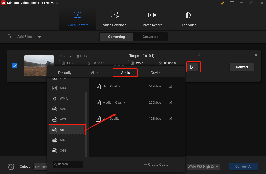 In the popup output format window, select Audio and choose AIFF