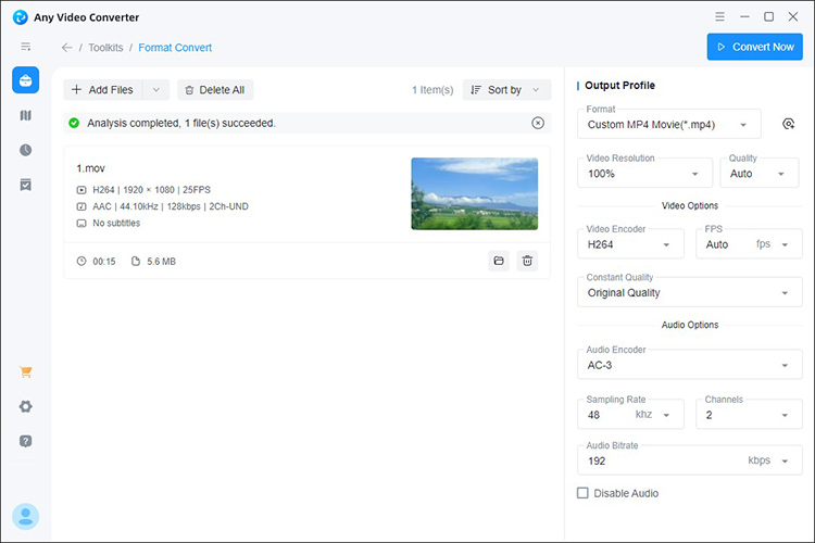 The Format Convert page of Any Video Converter