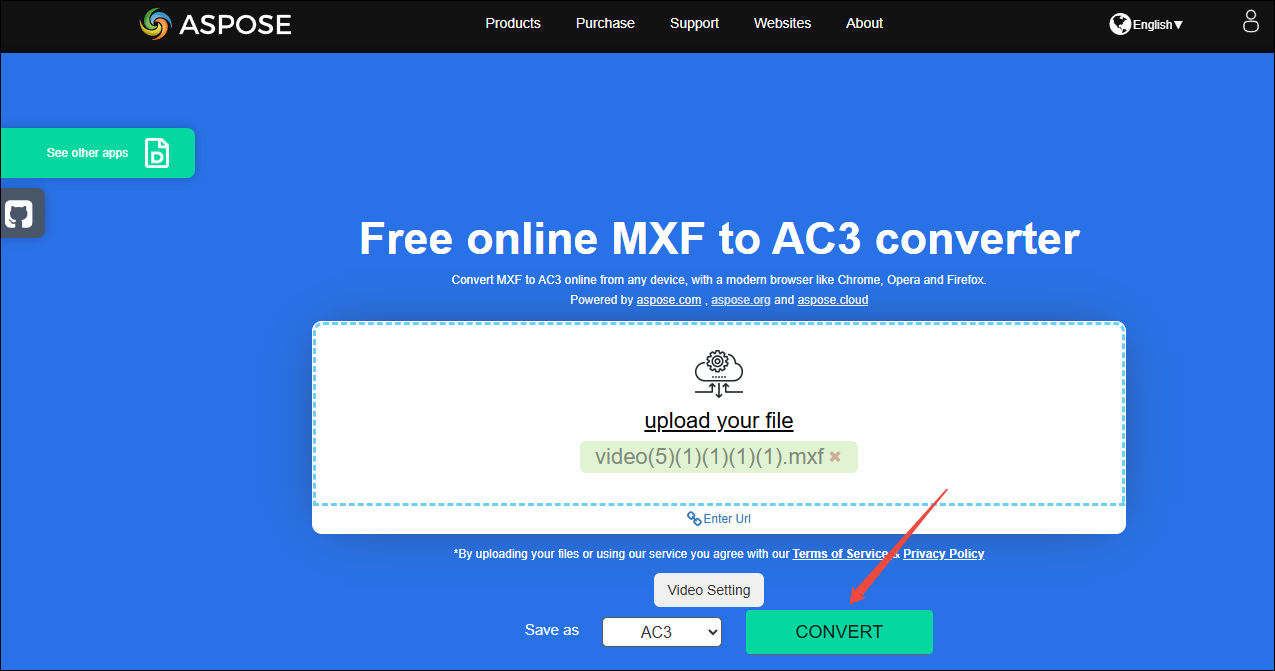 Click on CONVERT in ASPOSE to begin the conversion process