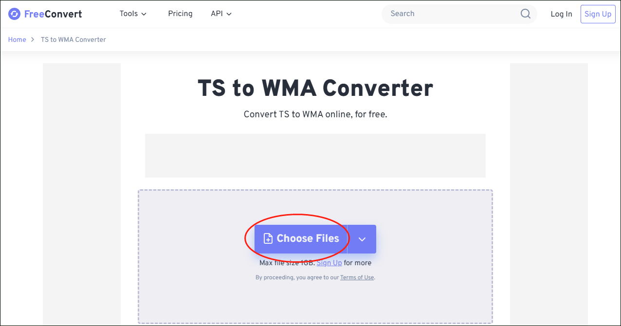 Click on Choose Files in MiniTool Video Converter to upload your TS files