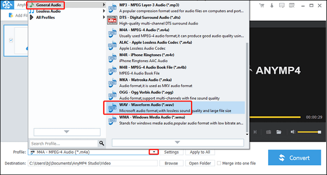 Choose the WAV format as the output format in AnyMP4 Audio Converter for conversion