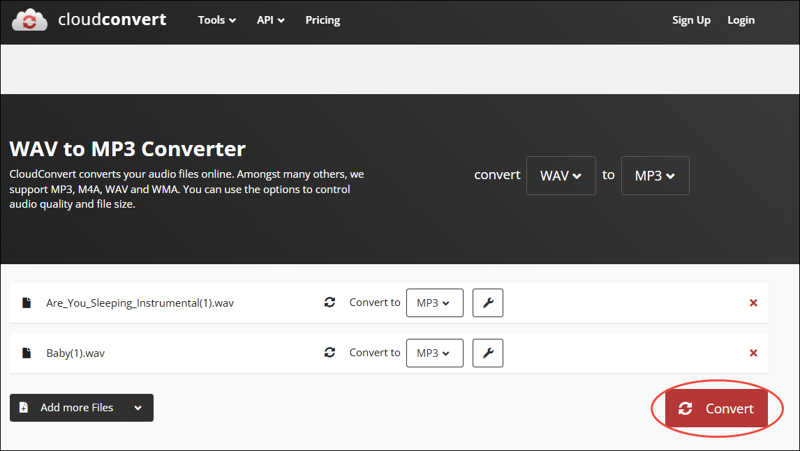 Click on Convert in CloudConvert to begin the conversion process